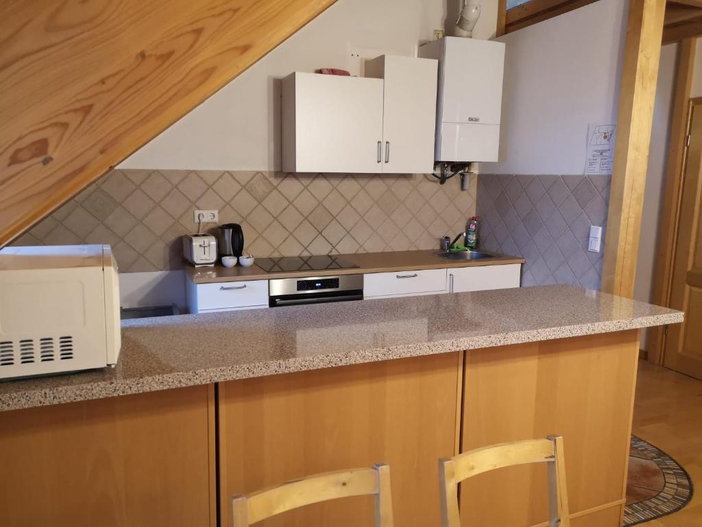 Kuchyň nebo kuchyňský kout v ubytování Hotel Bohemia