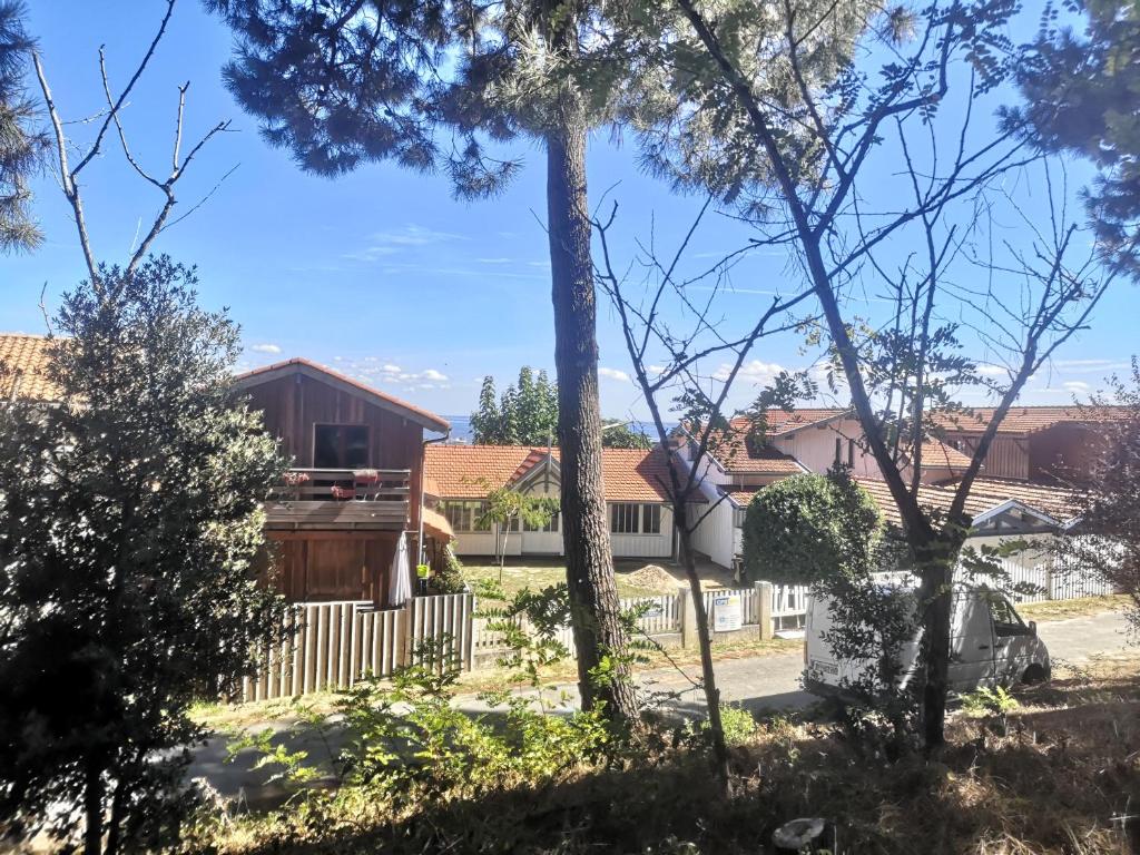 a view of a house from the yard at La cabane du Truquet in Lège-Cap-Ferret