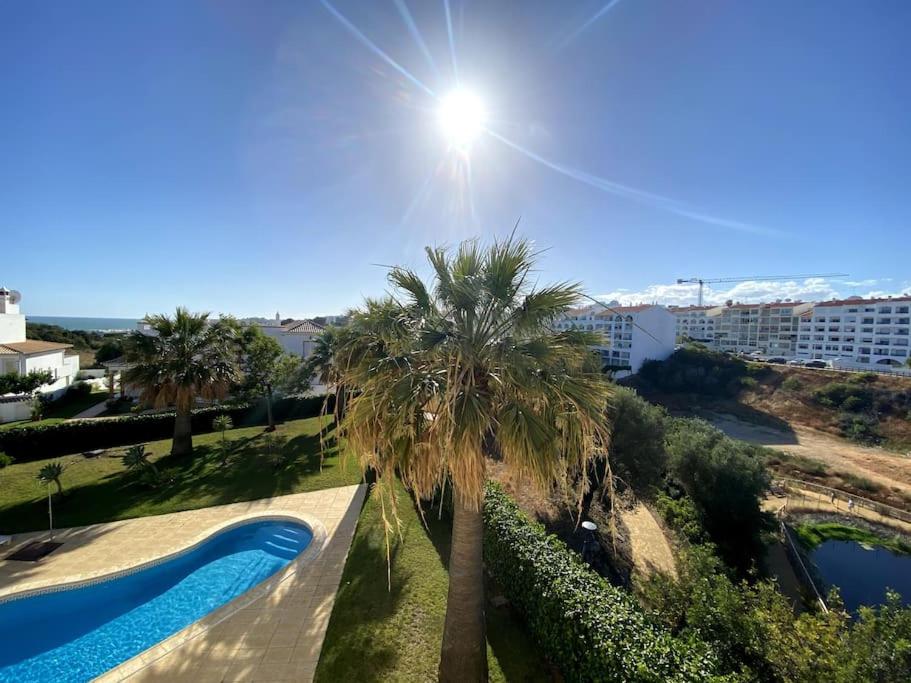 - une vue sur la piscine bordée d'un palmier dans l'établissement Apartamento Mimosas, à Albufeira