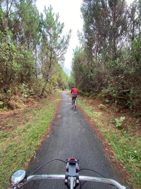 a person riding a bike down a road at La cabane du Truquet in Lège-Cap-Ferret