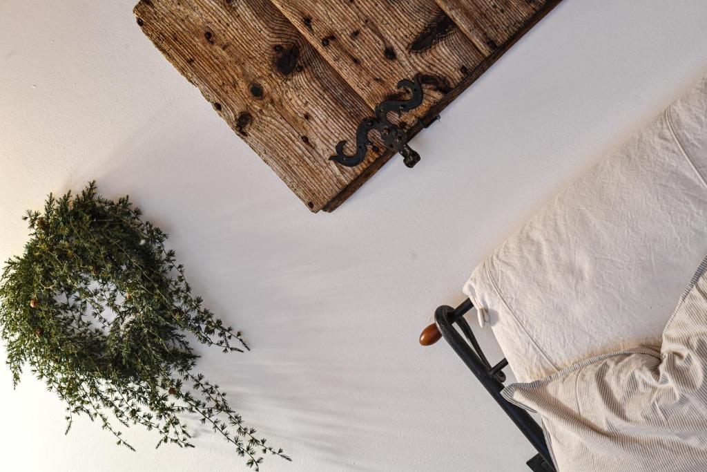 Zdjęcie z galerii obiektu Relax in Pineta w mieście Caldonazzo