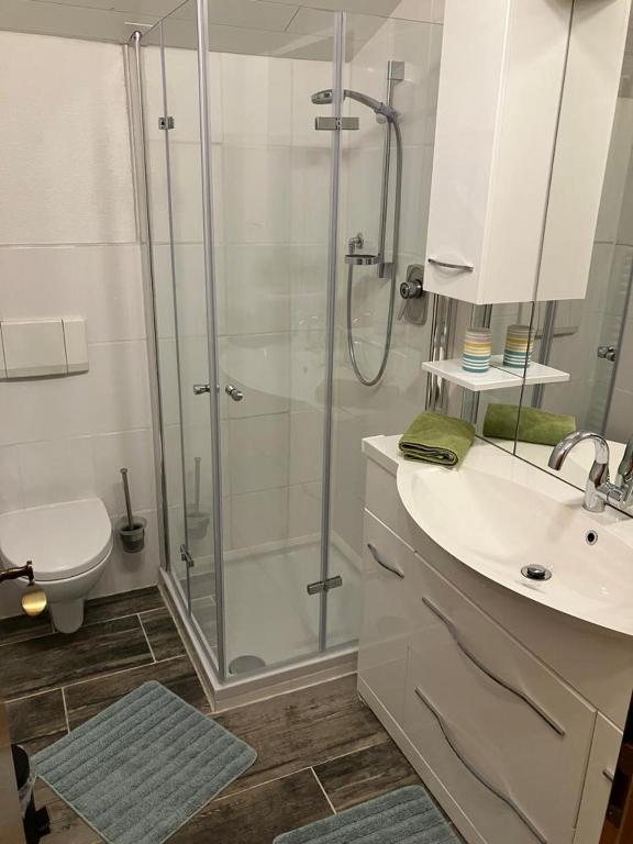 Koupelna v ubytování Ferienwohnung Erika Masuck