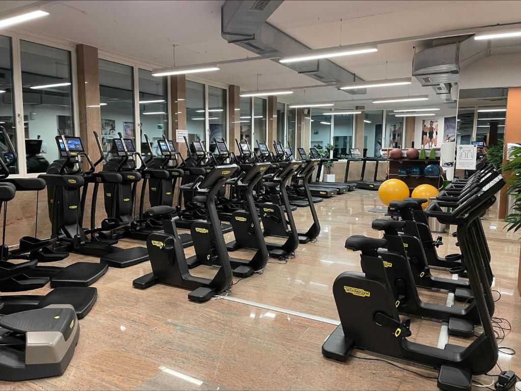 Fitness centrum a/nebo fitness zařízení v ubytování Wellness Hotel Aquafit Sursee