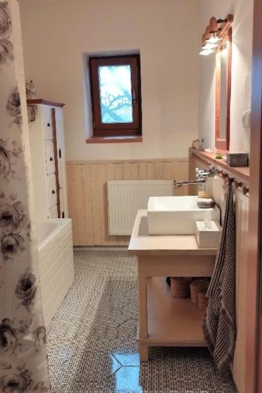 Koupelna v ubytování Apartment Zábřeh-Lukavice 1 by Interhome