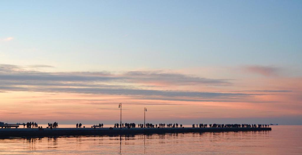 URBANAUTS STUDIOS Minelli