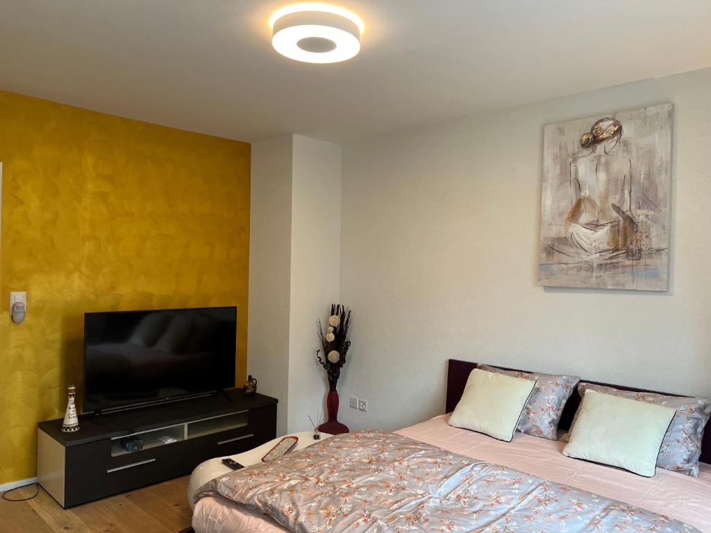 1.5 studio room fully furnished @ Langnau am Albis