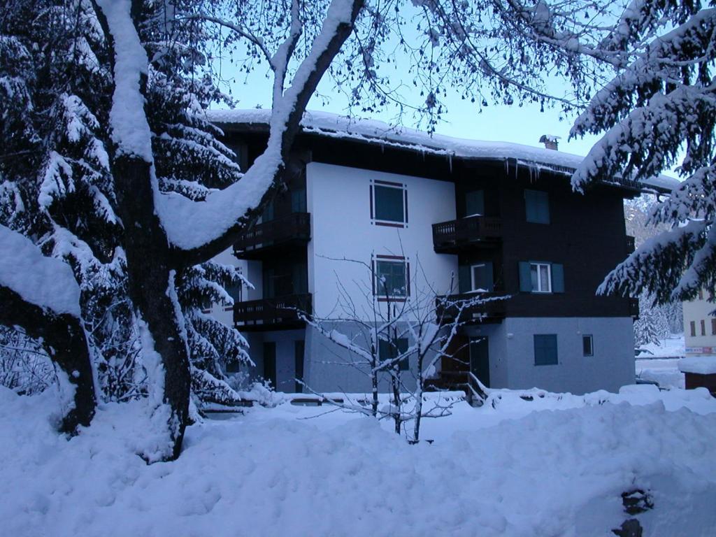 une maison recouverte de neige avec un arbre devant dans l'établissement Appartamento Niki Campitello, à Campitello di Fassa