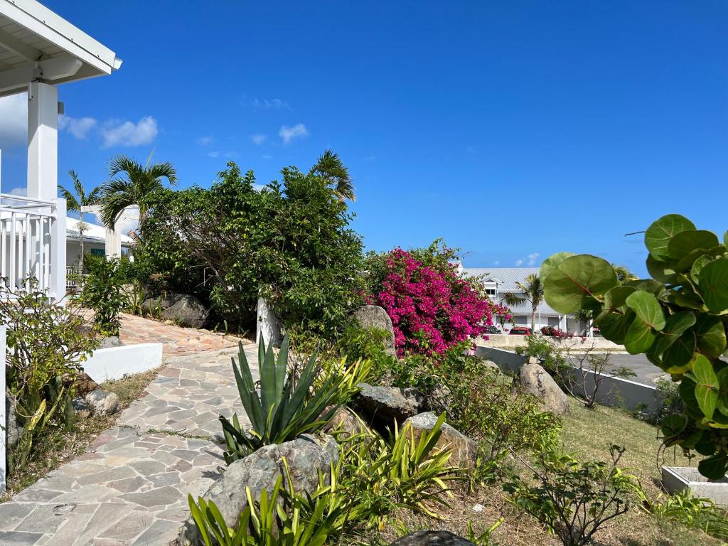 Zahrada ubytování TIKO LODGE SXM