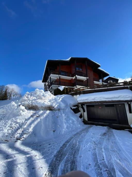 Príroda v okolí apartmánu