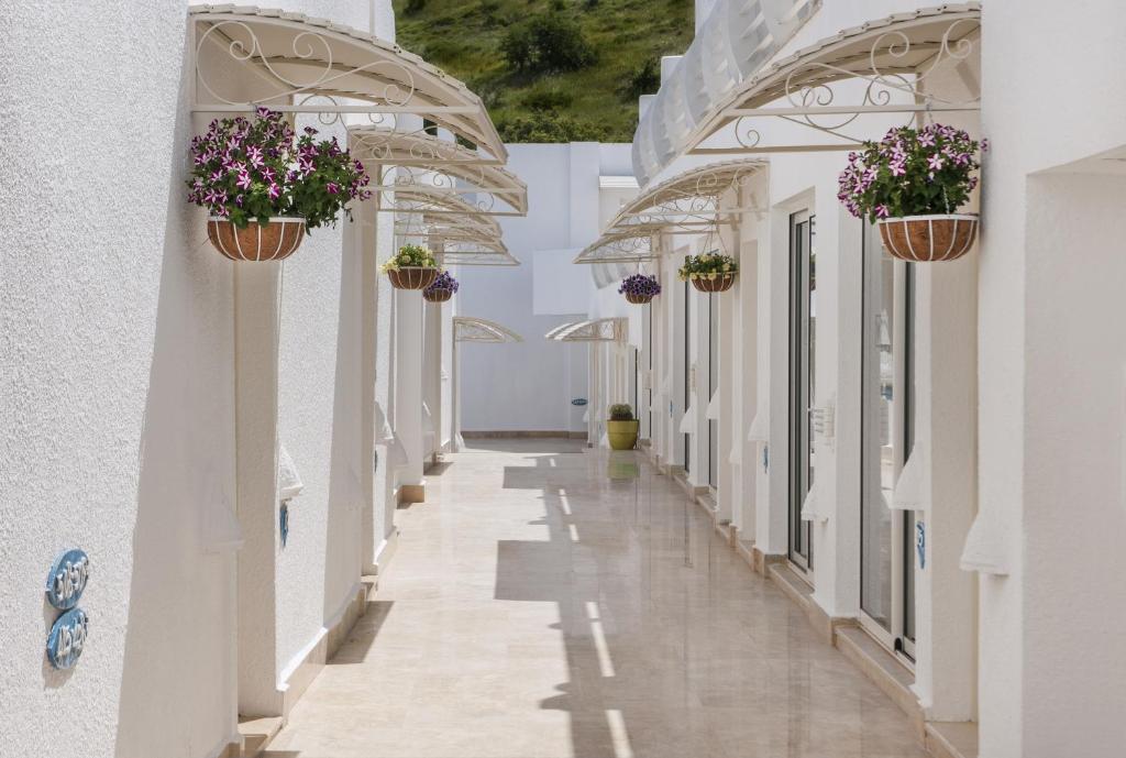 Prive Hotel Bodrum - Adult Only - 标准双人或双人间，带有土地景观