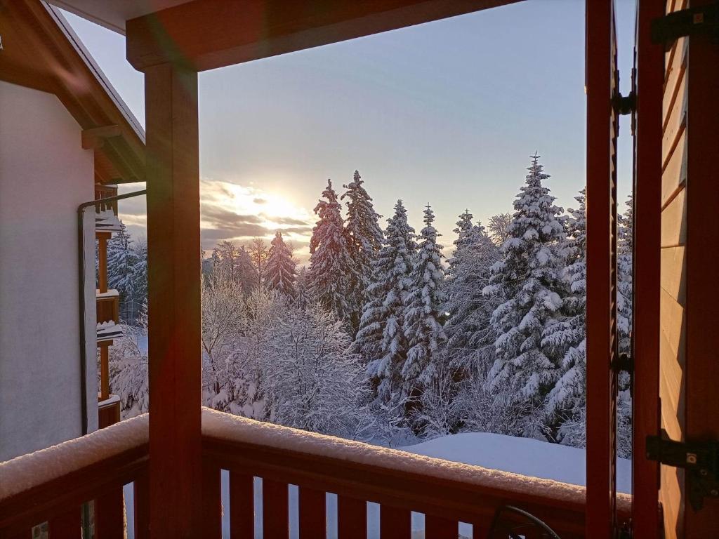 a view of a snowy forest from a window at Luxury apartments Prežin in Hočko Pohorje