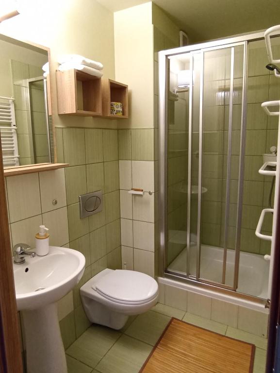 Kúpeľňa v ubytovaní Szarotka Pienińska