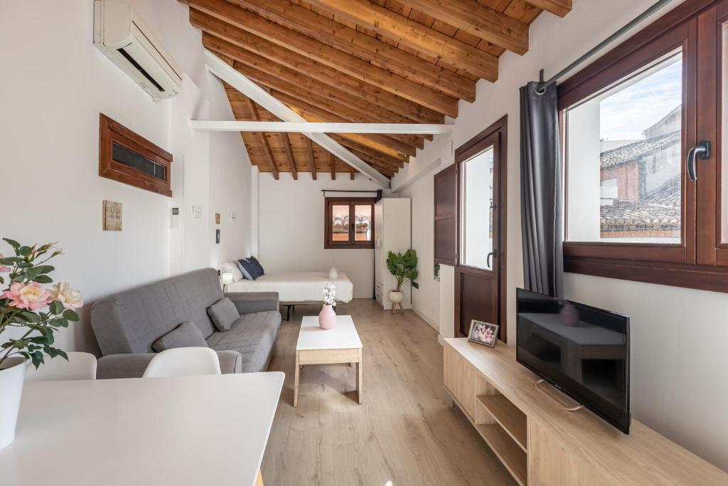 Apartamentos Granada Deluxe 3000