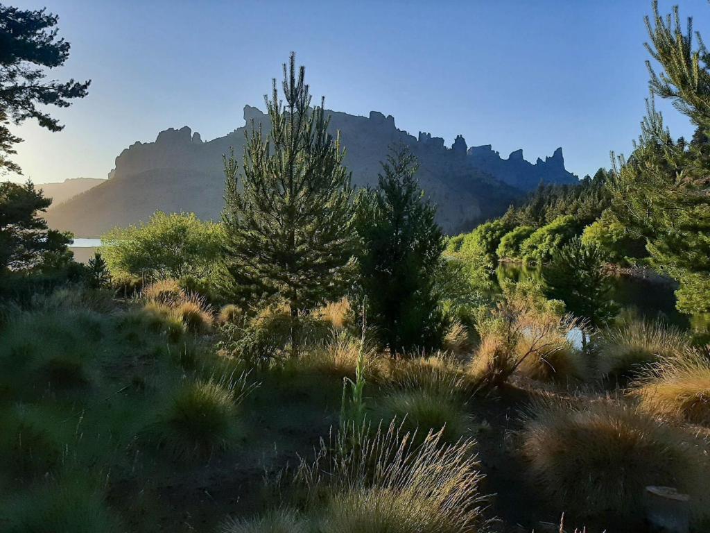 un campo de plantas con una montaña en el fondo en Titania Traful en Villa Traful