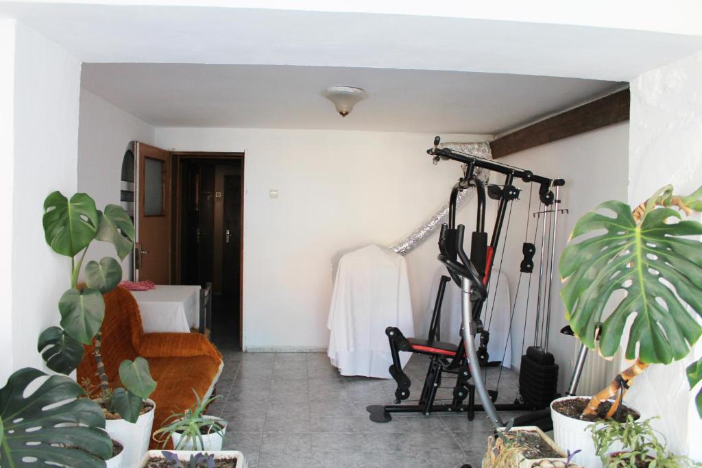 Fitness centrum a/nebo fitness zařízení v ubytování Hotel Bobchev