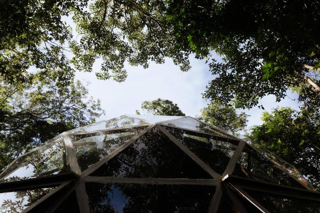 Fotografie z fotogalerie ubytování Glass House v destinaci Puerto Morelos
