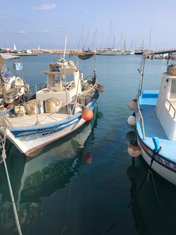 a group of boats docked in a harbor at Mazotos Panoramic Village in Mazotos