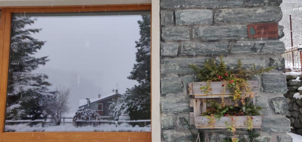 ALPINO B&B v zimě