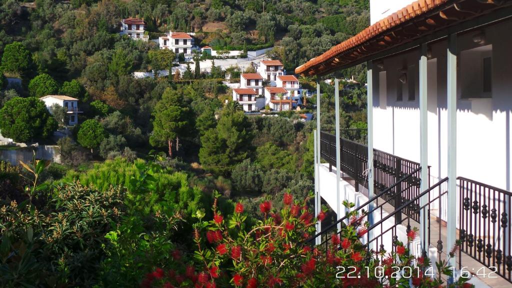 Skiathos Studios Panorama - 12