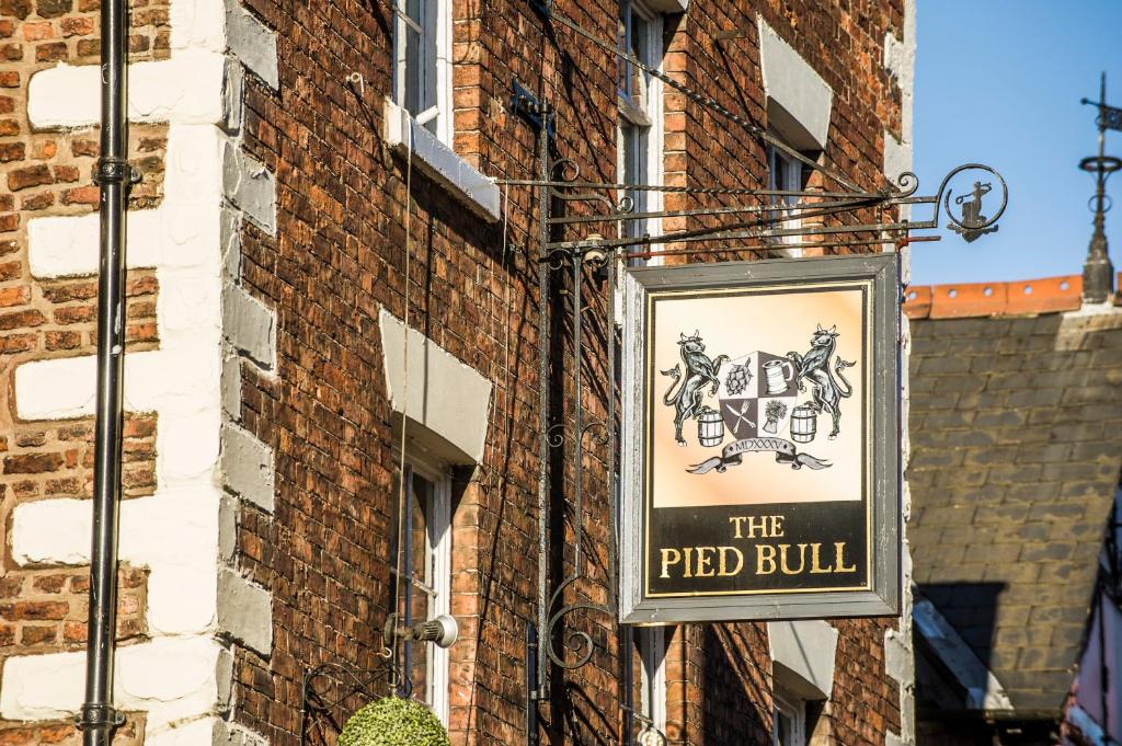 The Pied Bull - Resim 35