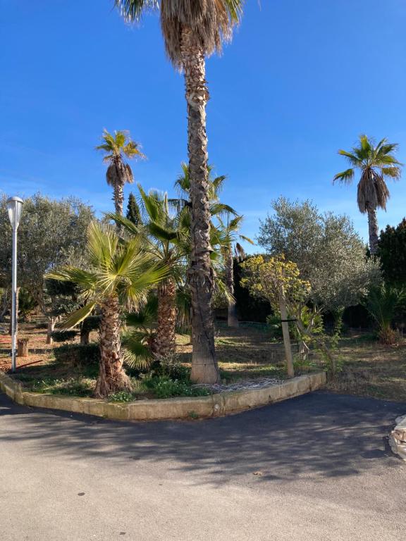 Fotografia z galérie ubytovania Maison zen v destinácii Agde