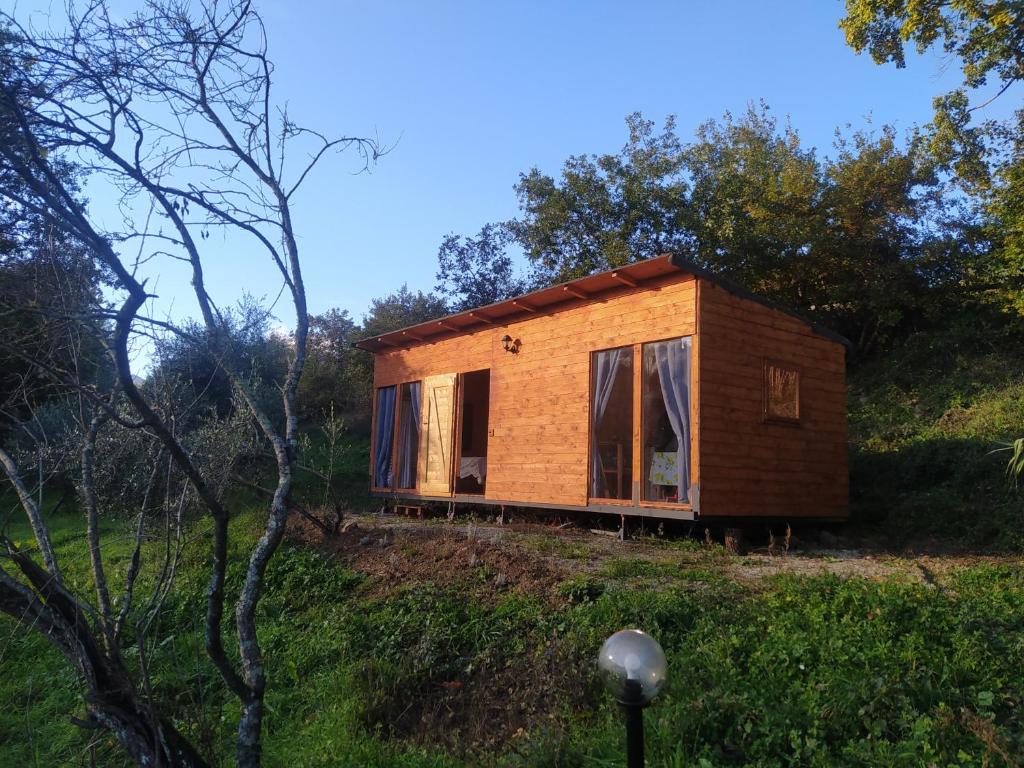 a tiny house on a hill in a field at Agricampeggio la casa di Nicla in Cavriglia