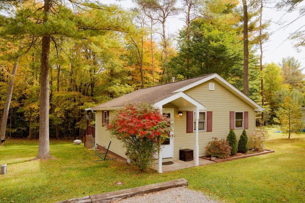 uma pequena casa no meio de um quintal em Cozy Cottage near Cook Forest Park, ANF em Marienville