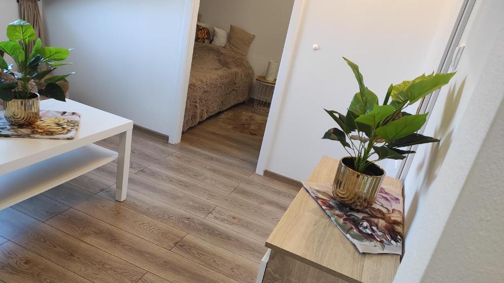 Fotografia z galérie ubytovania Apt FIONA1 Centrum700m Parking Bezpłatny Monitorowany Salon TV Sypialnia TV Kuchnia Łazienka Rekuperacja v destinácii Karpacz