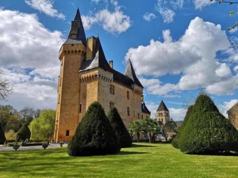 un gran castillo con árboles delante de él en Château de Clérans en Saint-Léon-sur-Vézère