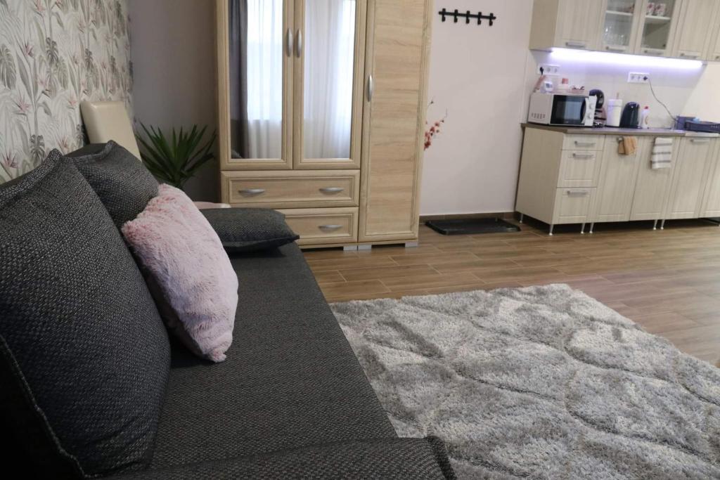 Kuchyň nebo kuchyňský kout v ubytování Várfal apartman