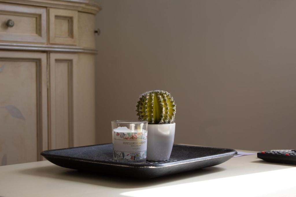 Gallery image of Apartamento Catòlics 25 in Pollença