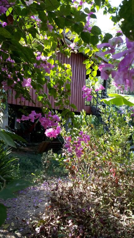 Zahrada ubytování Arun Mekong Guesthouse