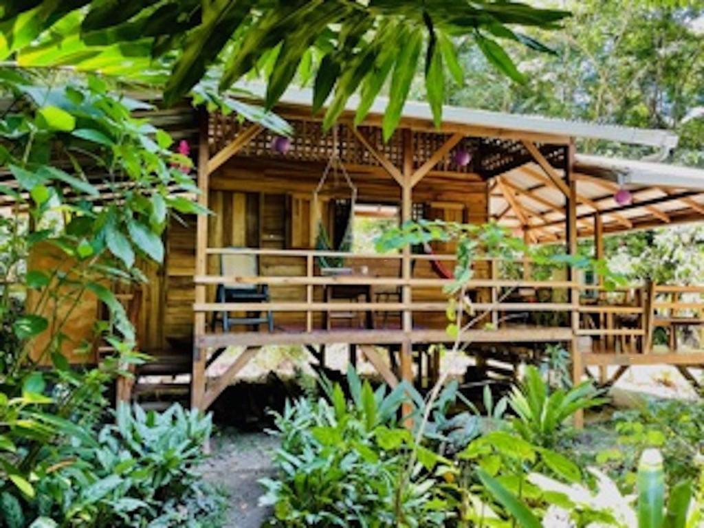 a wooden cabin with a porch in the woods at Casonita in Manzanillo