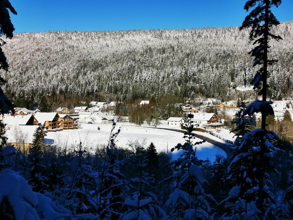 małe miasteczko na śniegu z drzewami w obiekcie Les fermes du Lac Gerardmer w mieście Gérardmer