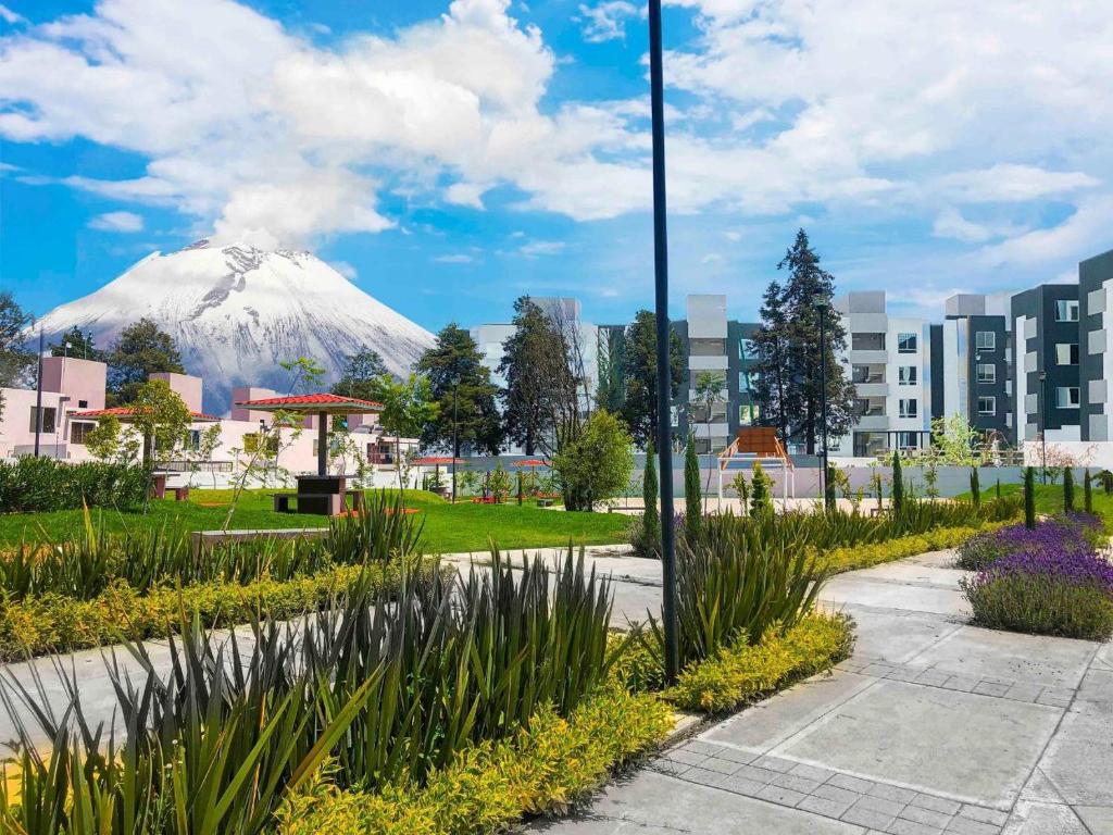 einen Berg im Hintergrund einer Stadt mit Blumen in der Unterkunft Departamento Aeropuerto Puebla in Huejotzingo