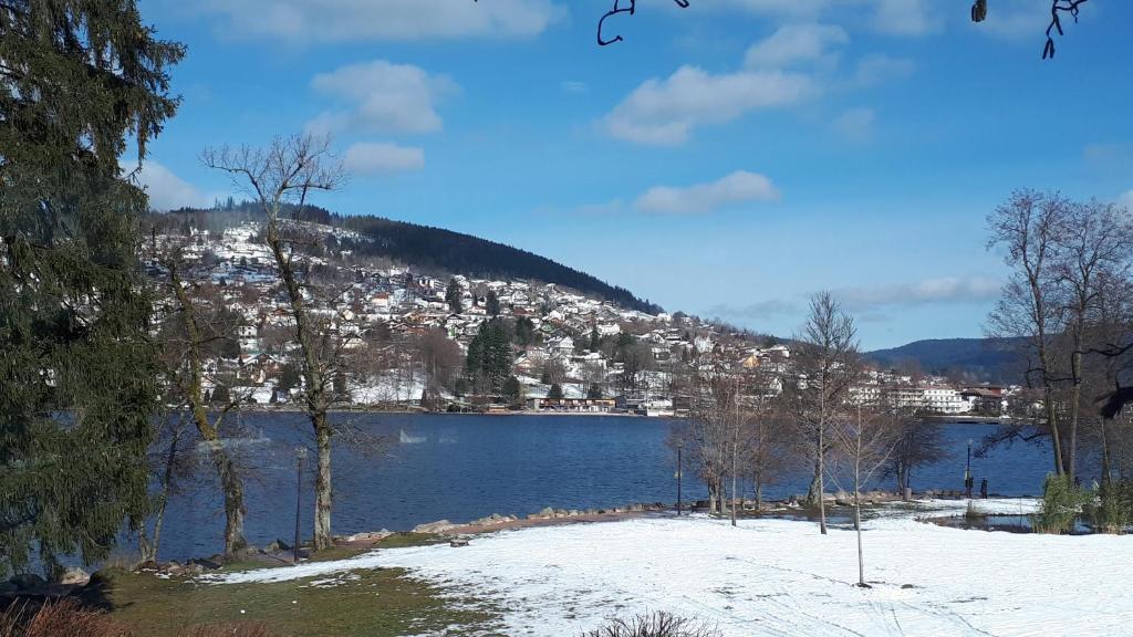 Fotografia z galérie ubytovania Les fermes du Lac Gerardmer v destinácii Gérardmer