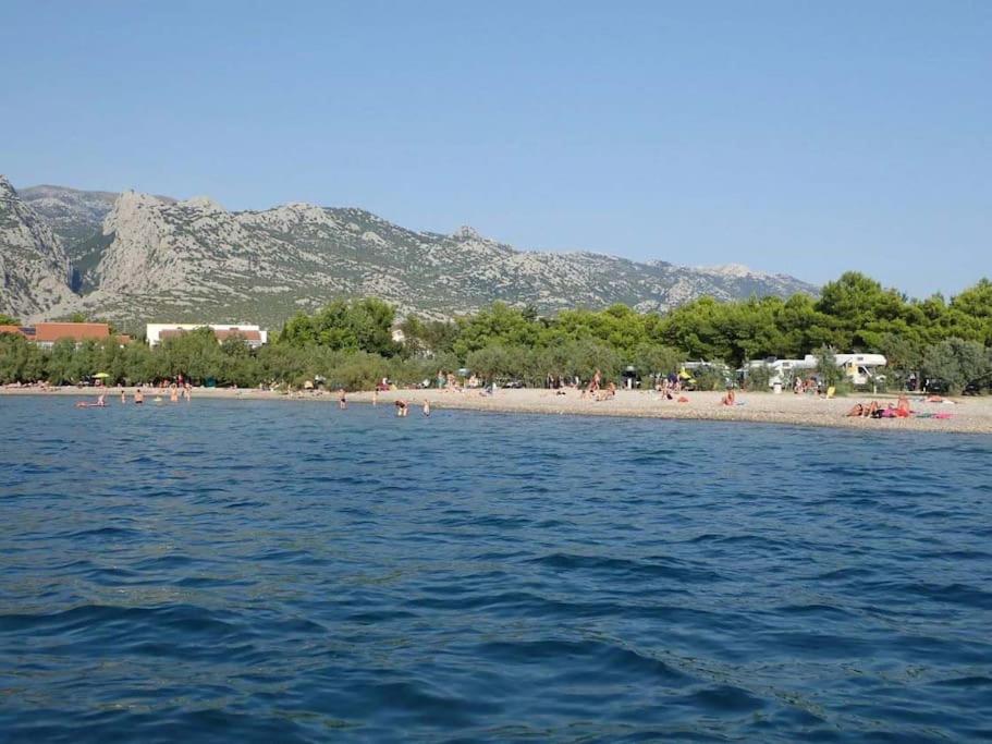 Príroda v okolí apartmánu