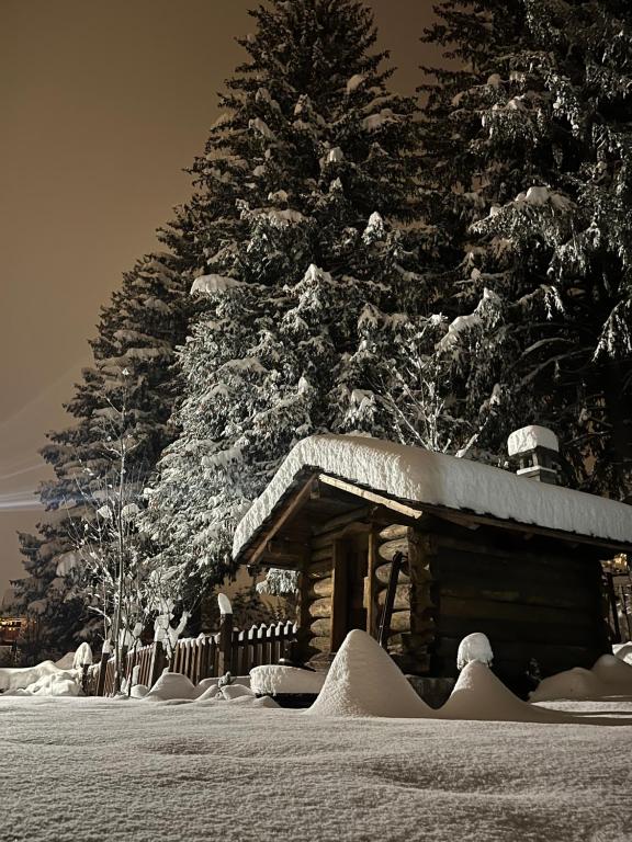 eine schneebedeckte Hütte neben einem Weihnachtsbaum in der Unterkunft Chalet Blanc "Le Flocon" in Courmayeur