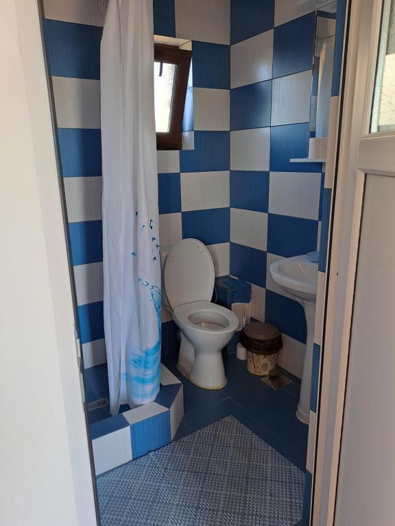 Vila Bulgaru - Apartment With Terrace