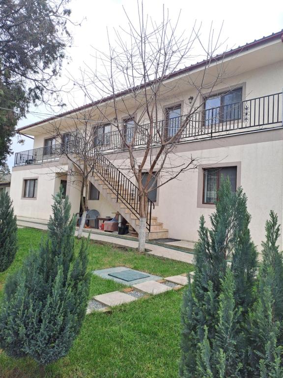 Κήπος έξω από το Vila Bulgaru