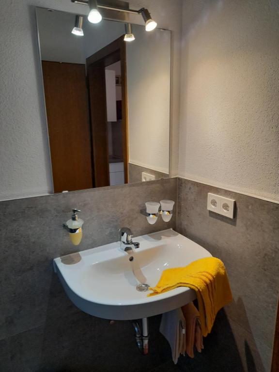 Koupelna v ubytování Haus Rosenegg