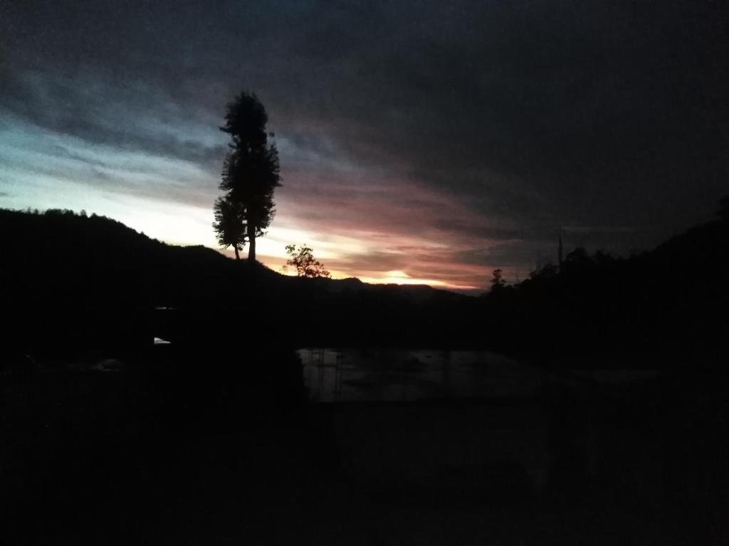 Forest Cyniciam Homestay - 9