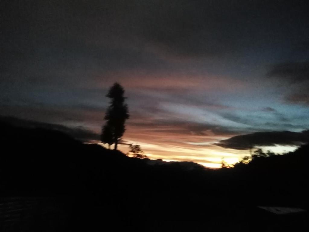 Forest Cyniciam Homestay - 3