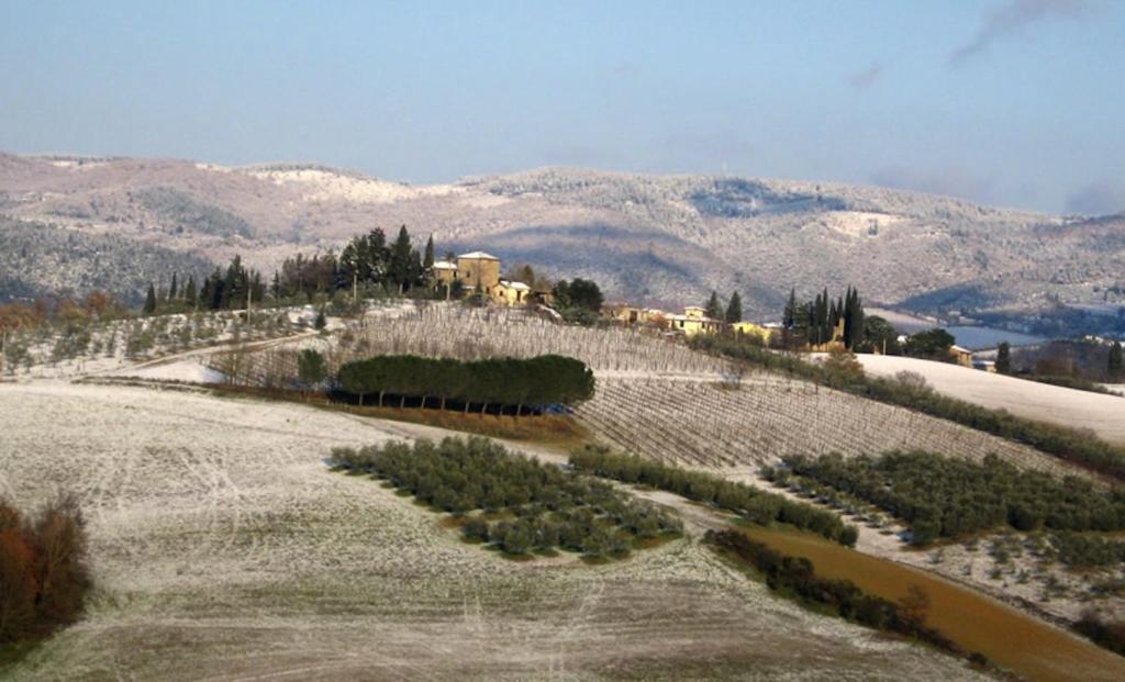 Fotografia z galérie ubytovania Osteria Carnivora Guest House v destinácii Gaiole in Chianti