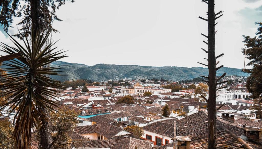 منظر الجبل العام أو منظر الجبل من الشقة