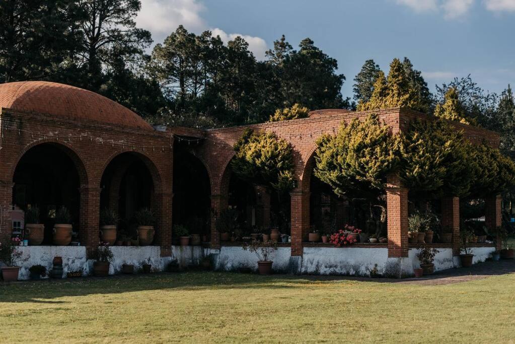 Finca, Boschetto. Morelos