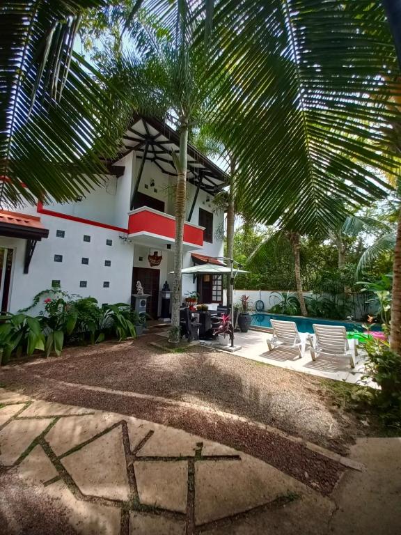a house with a palm tree and a swimming pool at Luxury villa Costanza in Hikkaduwa