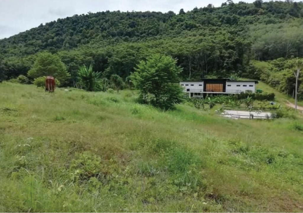 Farm House kohyaoyai - 17