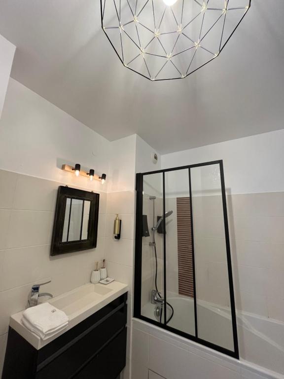 uma casa de banho com um lavatório, um chuveiro e um espelho. em T2 Saint-Denis -Jardin de l'Etat em Saint-Denis