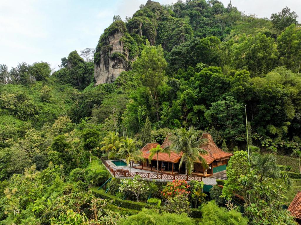 Villa Borobudur Resort - Kayangan Deluxe两居室别墅和私人游泳池